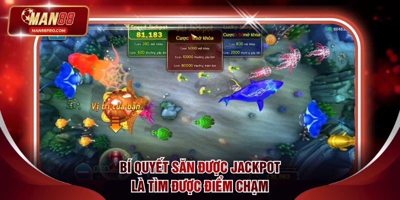 Bí quyết săn được jackpot là tìm được điểm chạm